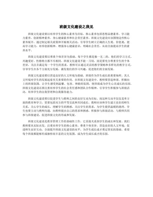 班级文化建设之我见