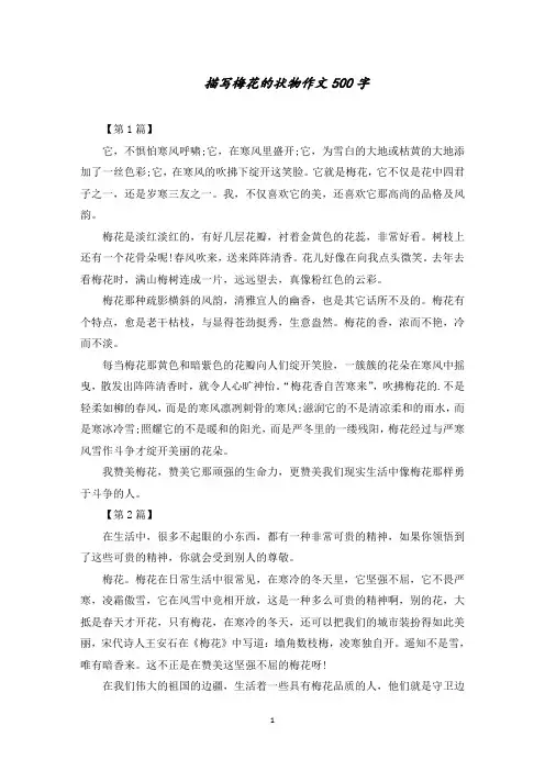 描写梅花的状物作文500字范文精选
