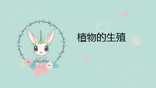 7.1.1《植物的生殖》 人教版八年级下册生物课件(共31张PPT)