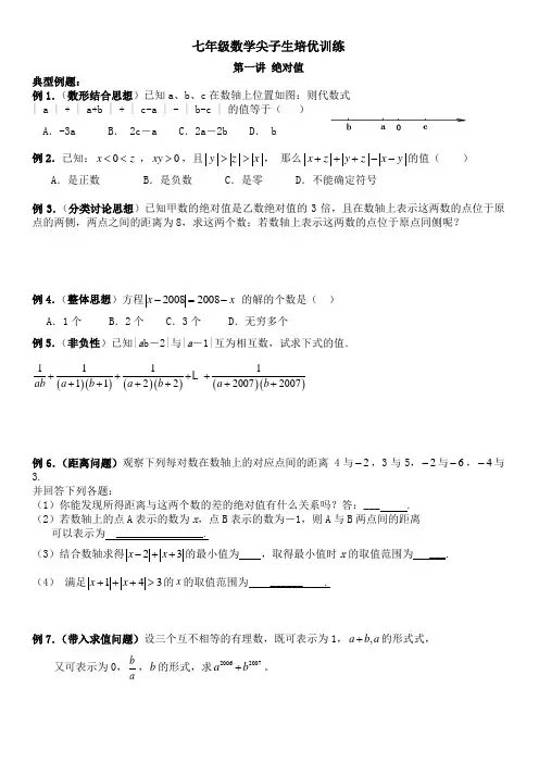 七年级数学尖子生培优训练(马欣奕、徐唯哲)