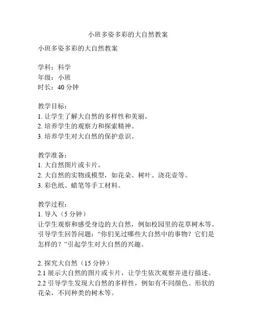 小班多姿多彩的大自然教案