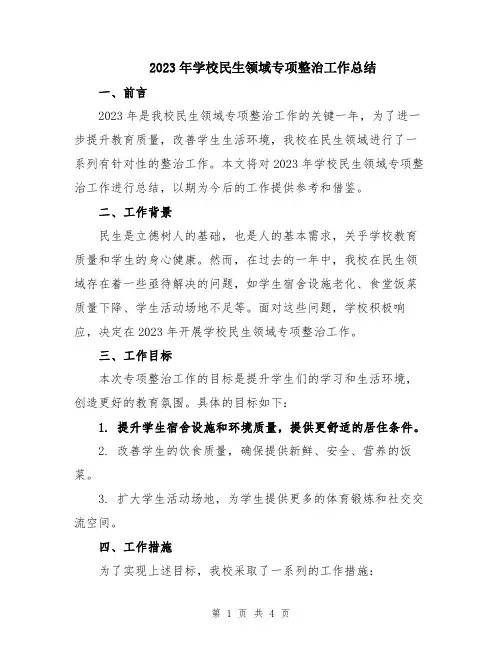 2023年学校民生领域专项整治工作总结