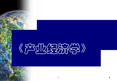产业经济学-产业经济学导论精品PPT课件