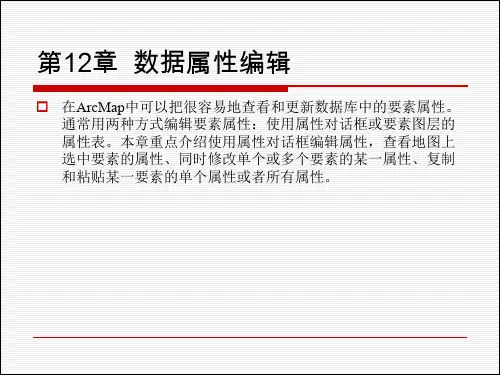 ArcGIS地理信息系统 (20)