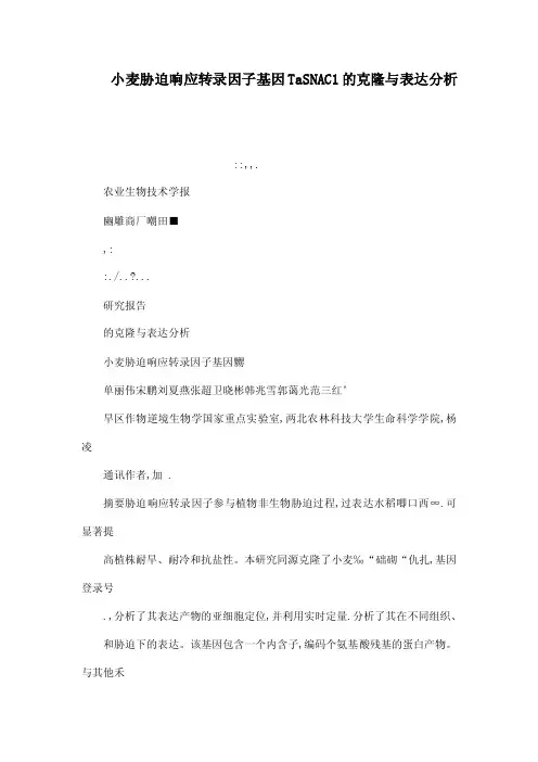 小麦胁迫响应转录因子基因TaSNAC1的克隆与表达分析（可编辑）