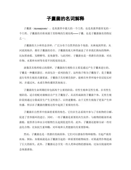子囊菌的名词解释