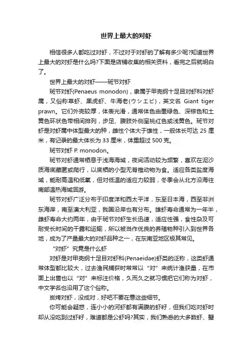 世界上最大的对虾