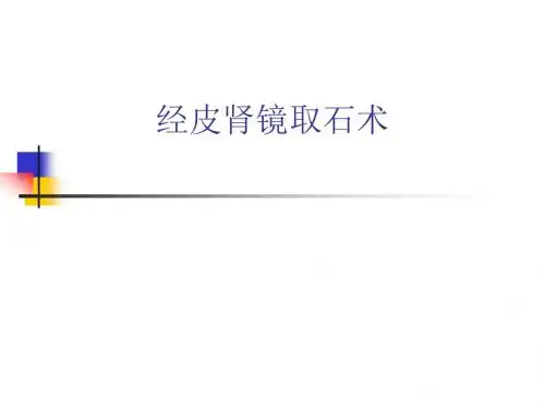 经皮肾镜取石术课件