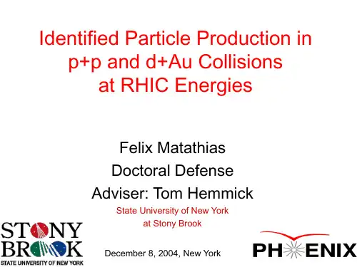 优秀学术报告PPT示例(Identified Particle Production)