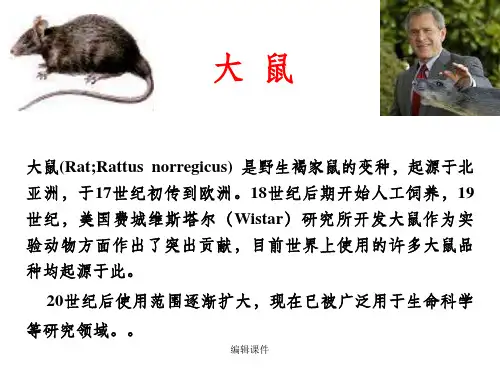 《实验动物与管理教学》5.大  鼠,犬