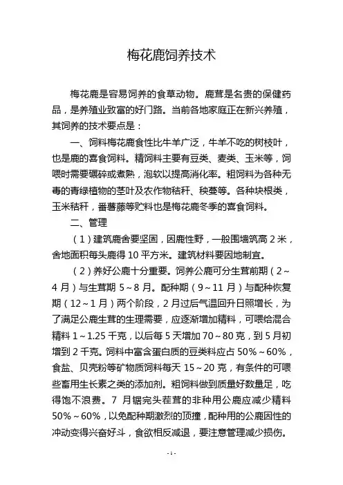 梅花鹿饲养技术