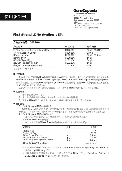 First Strand cDNA Synthesis Kit 说明书