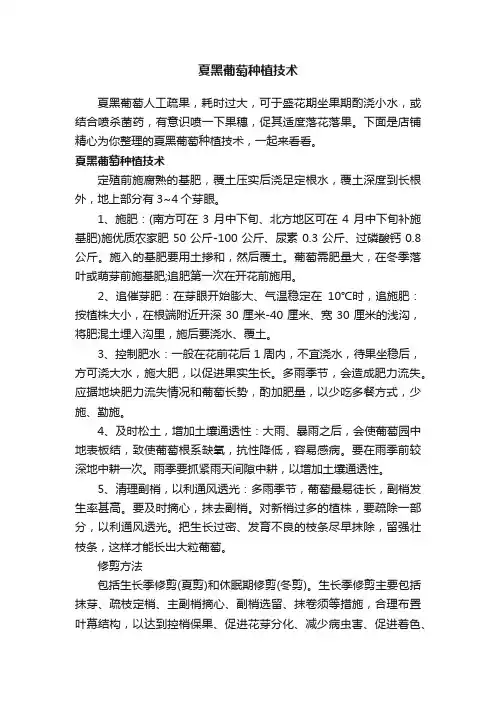 夏黑葡萄种植技术
