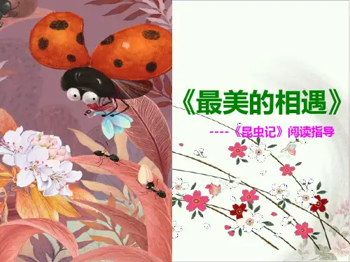 部编八年级上册语文第五名著导读《《昆虫记》ppt科普作品的阅读》ppt