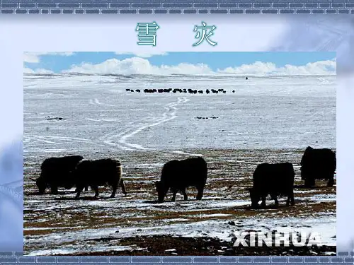 雪灾2精品PPT课件