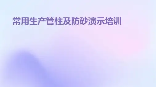 常用生产管柱及防砂演示培训