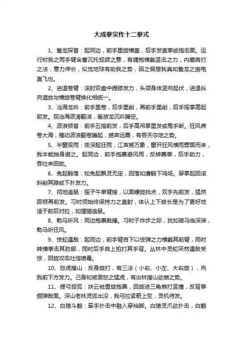 大成拳实作十二拳式