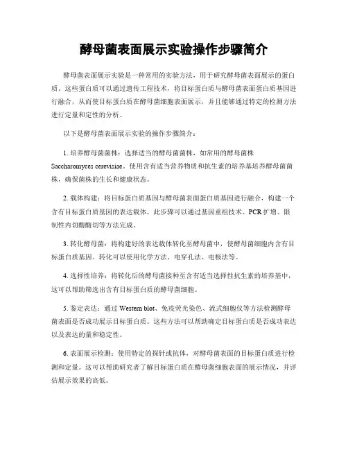 酵母菌表面展示实验操作步骤简介
