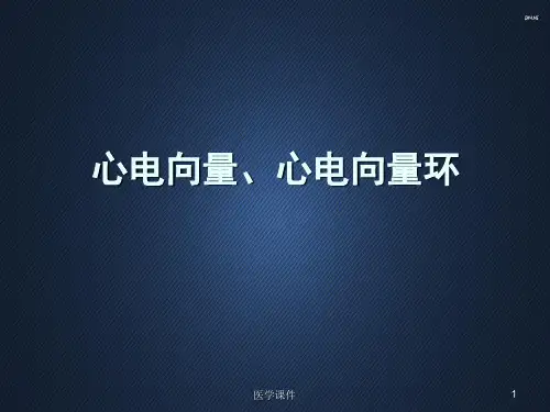心电向量、心电向量环  PPT课件