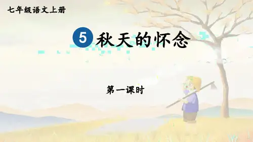 第5课《秋天的怀念》课件-统编版语文七年级上册(2024) (45)