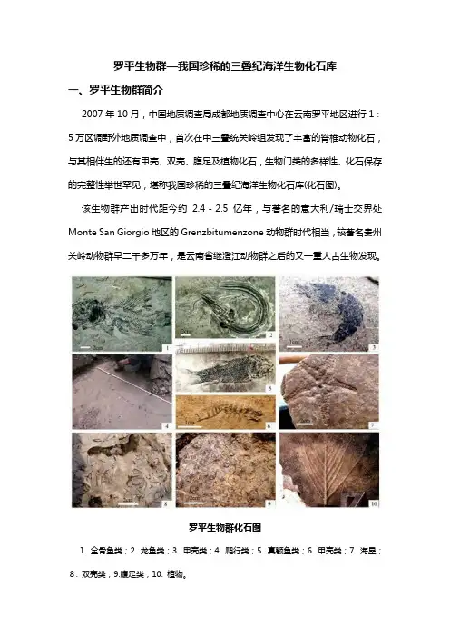 罗平生物群简介