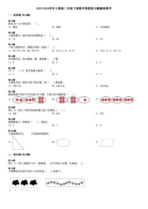 2023-2024学年人教版二年级下册数学暑假练习题趣味数学