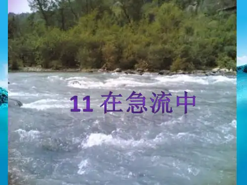在急流中