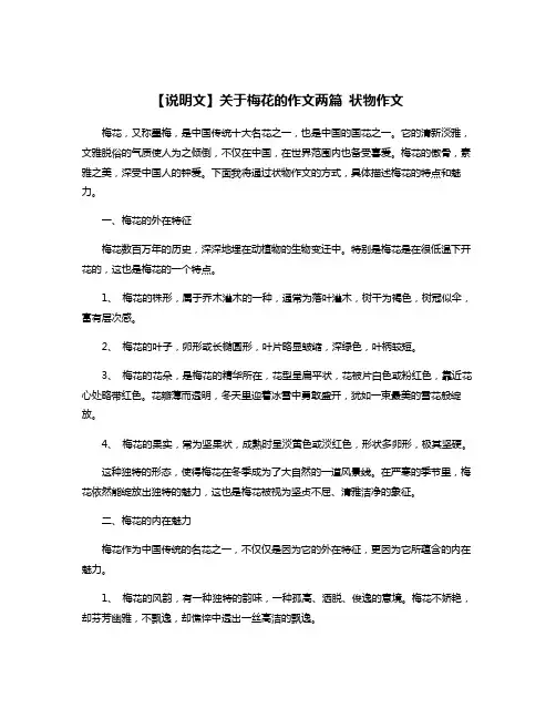 【说明文】关于梅花的作文两篇 状物作文