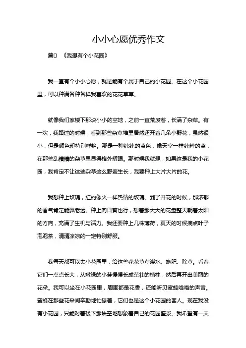 小小心愿优秀作文