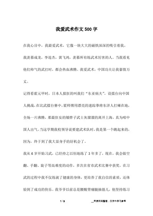我爱武术作文500字