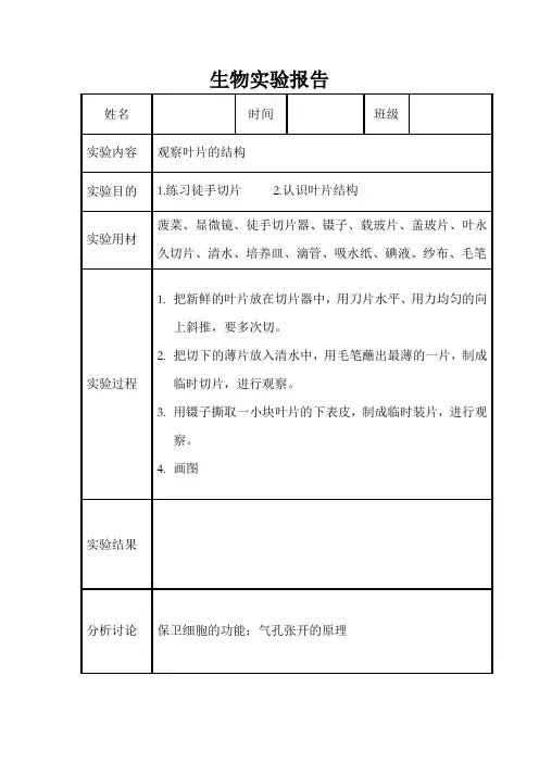观察叶片的结构实验报告单