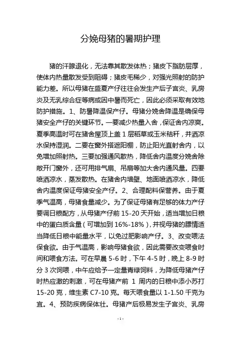 分娩母猪的暑期护理