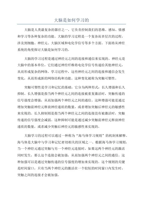 大脑是如何学习的