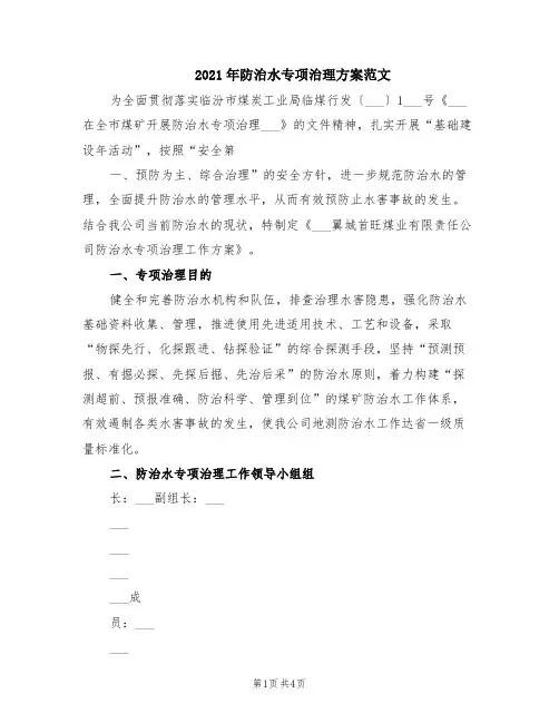 2021年防治水专项治理方案范文