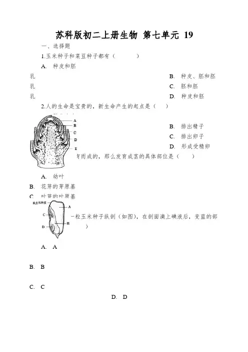 苏科版初二上册生物第七单元植物的生长发育同步练习题及解析