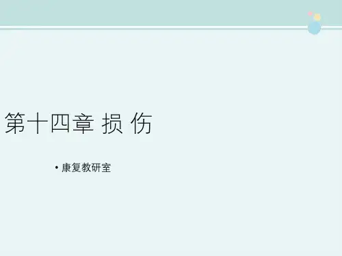 康复治疗技术 教材 第十四章 损伤