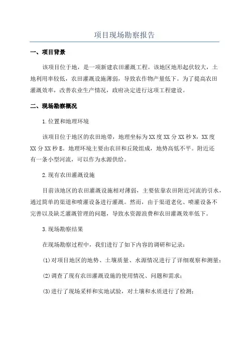 项目现场勘察报告