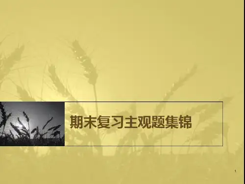 期末复习主观题集锦PPT课件