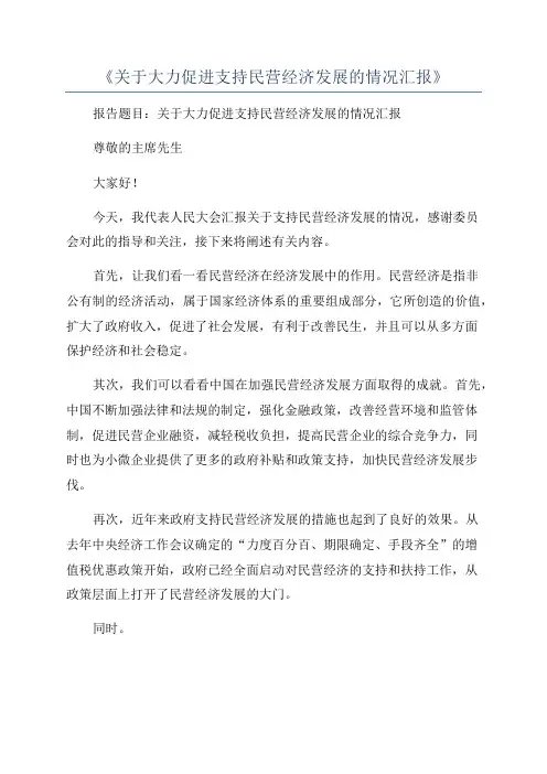 《关于大力促进支持民营经济发展的情况汇报》