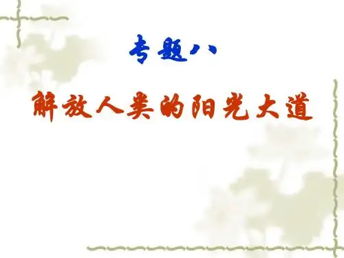 解放人类的阳光大道ppt5 人民版