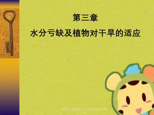 植物干旱概念及干旱对植物生长影响