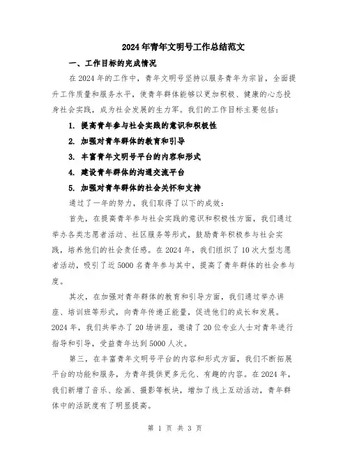 2024年青年文明号工作总结范文