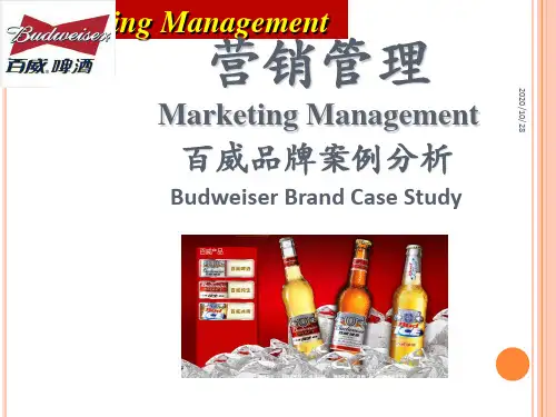 百威啤酒营销案例 ppt课件