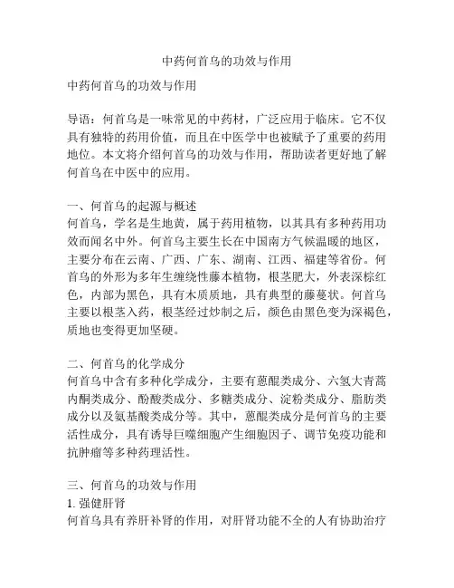 中药何首乌的功效与作用