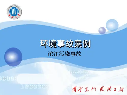 环境事故案例