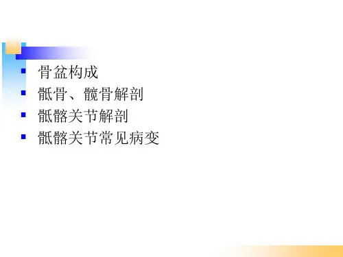 骶髂关节错位PPT课件