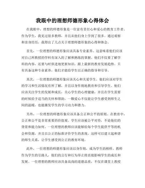 我眼中的理想师德形象心得体会