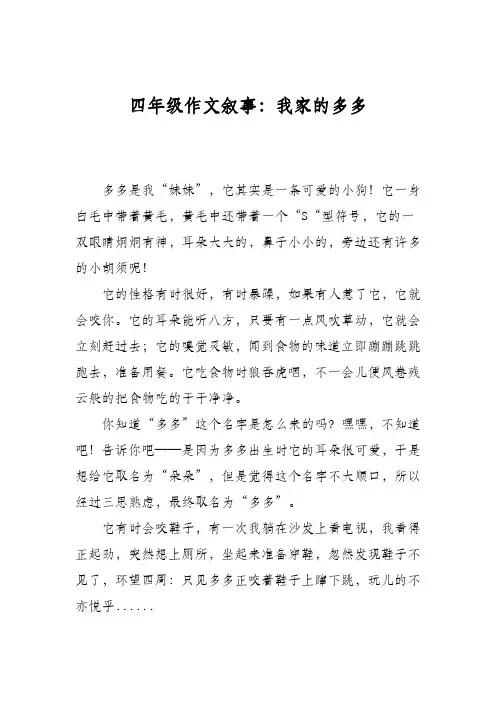 四年级作文叙事：我家的多多