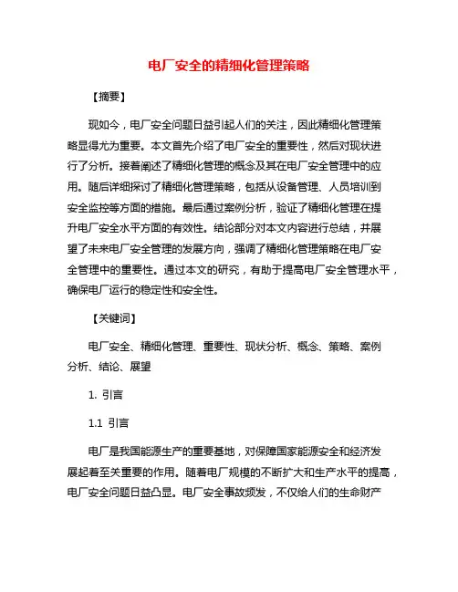 电厂安全的精细化管理策略