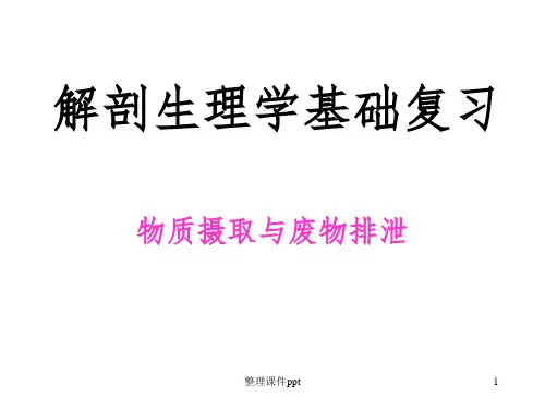 《解剖生理学基础》PPT课件
